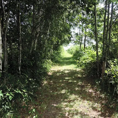 Ko Czewo & Forest Farm Kołczewo