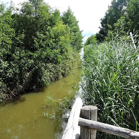 Ko Czewo & Forest Farm Appartement *