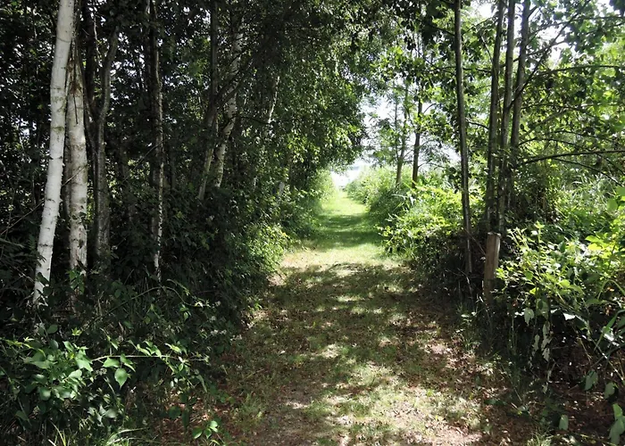 Ko Czewo & Forest Farm Kołczewo