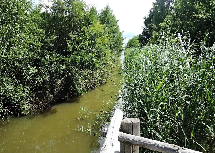 Ko Czewo & Forest Farm Apartamento *