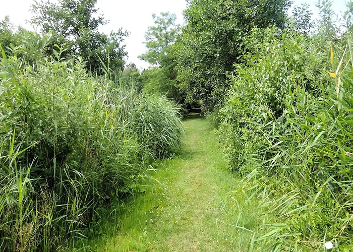 Apartamento Ko Czewo & Forest Farm Kołczewo