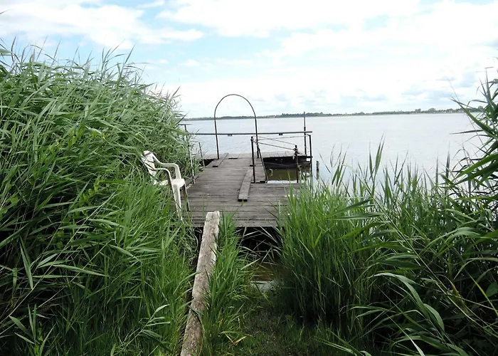 Ko Czewo & Forest Farm *